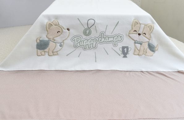 PRIMER DIA PUPPY CHAMPS - Imagen 3